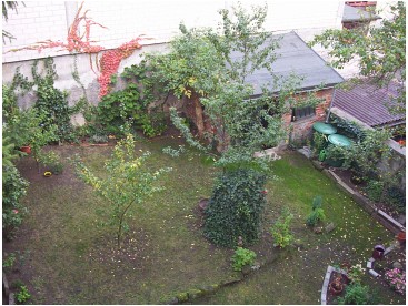 Gartenbereich mit Bepflanzung