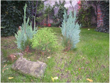Gartenansicht 2006