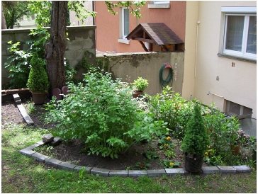 Gartenweg und Beete