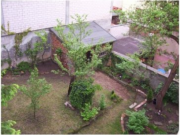 Gartenpflanzen 2005