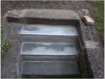 Gartenpflanzen und Dekoration
