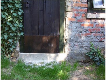 Gartendetail 2006